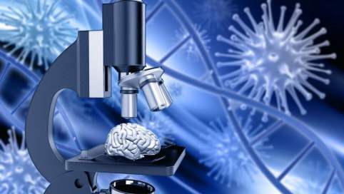 istock_000076215957_large