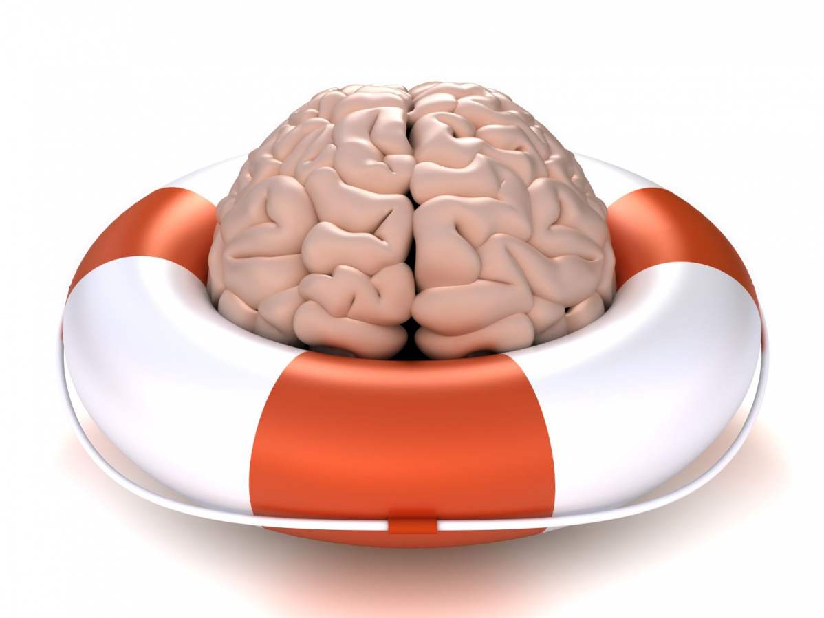 Ein plastisches Kunstgehirn in einem Rettungsring